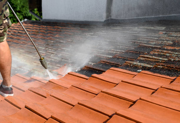 Best Pressure Washing Near Me  in Sun Lakes, AZ